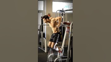 Parallel Bar Dips Exercise