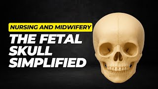 THE FETAL SKULL SIMPLIFIED | NURSING AND MIDWIFERY