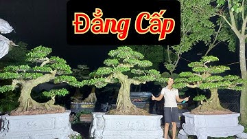 Bộ 3 này Vip quá các bác ơi - Mua ngay kẻo lỡ duyên ạ / Zalo: 0918484837