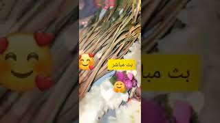 حالات وتس