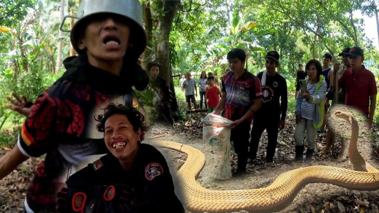 MATINDING HABULAN ANG NANGYARE DAHIL MAY IBA PANG KALABAN #cobrateam #chanongcobra 