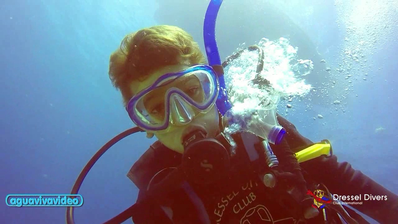 Scuba Diving in Bayahibe with Dressel Divers (26 30 June 17) YouTube