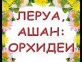 ЛЕРУА:прекрасный ЗАВОЗ орхидей.АШАН:орхо-ОБМАН покупателей,11.12.20,ТЦ "Космопорт",Самара.