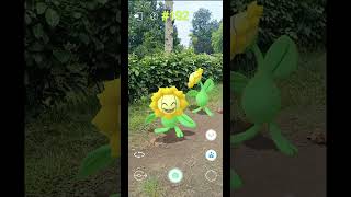 Sunflora Card #25  #pokemoncards