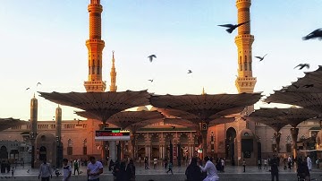 تلاوة من سورة النازعات - القارئ أسامة طه