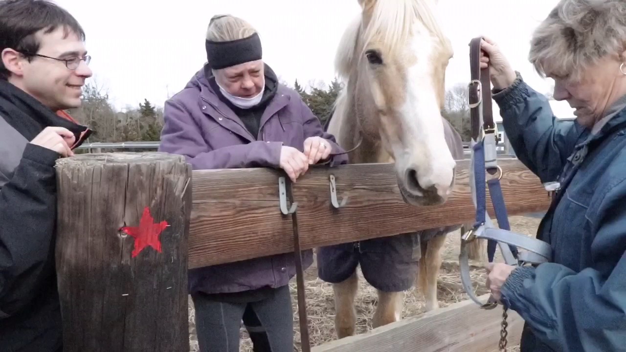 State Line Tack gives back to Seaview Equine Learning Facility! YouTube