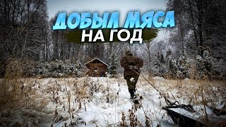 Открываю Капканы.добыл Лося.порвал Сапог.вытаскиваем Мясо.