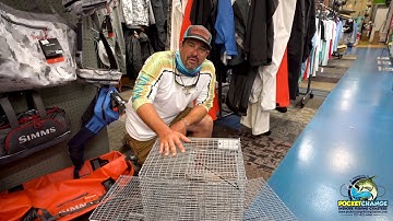 Easiest Way To Catch Bait Here at Tampa Fishing Outfitters! - FittedToFish