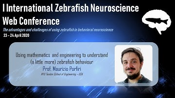 Prof. Maurizio Porfiri lecture - I IZN Web Conference