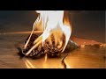 Rolling Carpets - Black Lotus (OFFICIAL VIDEO)