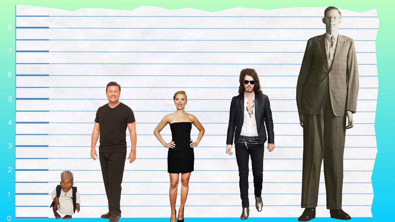 How Tall Is Ricky Gervais? 