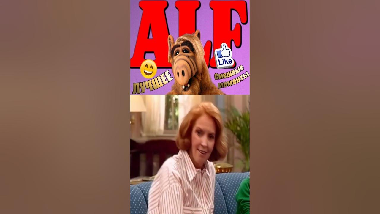 Альф и подарки от бабули💎 #альф #alf #shorts #сериал #топ #top - YouTube