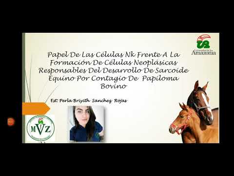 Video: Tumores De Piel (sarcoide Equino) En Caballos