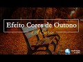 CORES DE OUTONO   Como usar o Color Range para simular no Photoshop