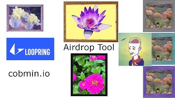 Loopring Airdrop Tool Showcase: Sending different Nfts at once