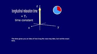 Longitudinal Relaxation | T1 Curve