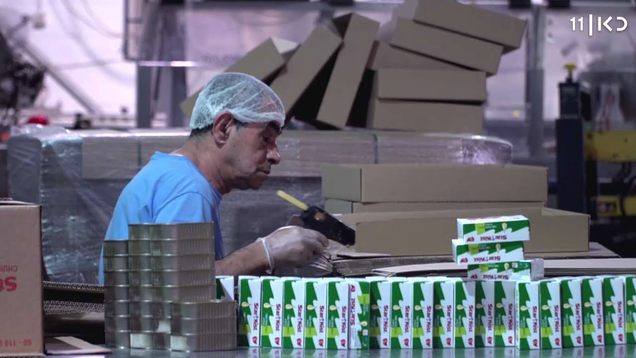 מפעל הטונה הישראלי נסגר, והצרכנים בכלל לא מרגישים הבדל במחיר