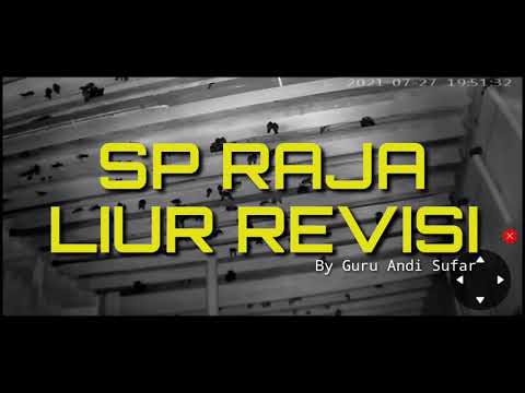 Ini Settingan Volume SP Raja di Laut, SP PJW, Si Inap Liur 77, Anakan Walet Nempel..!!#sprajadilaut