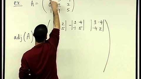 45 -  The matrix adj(A)