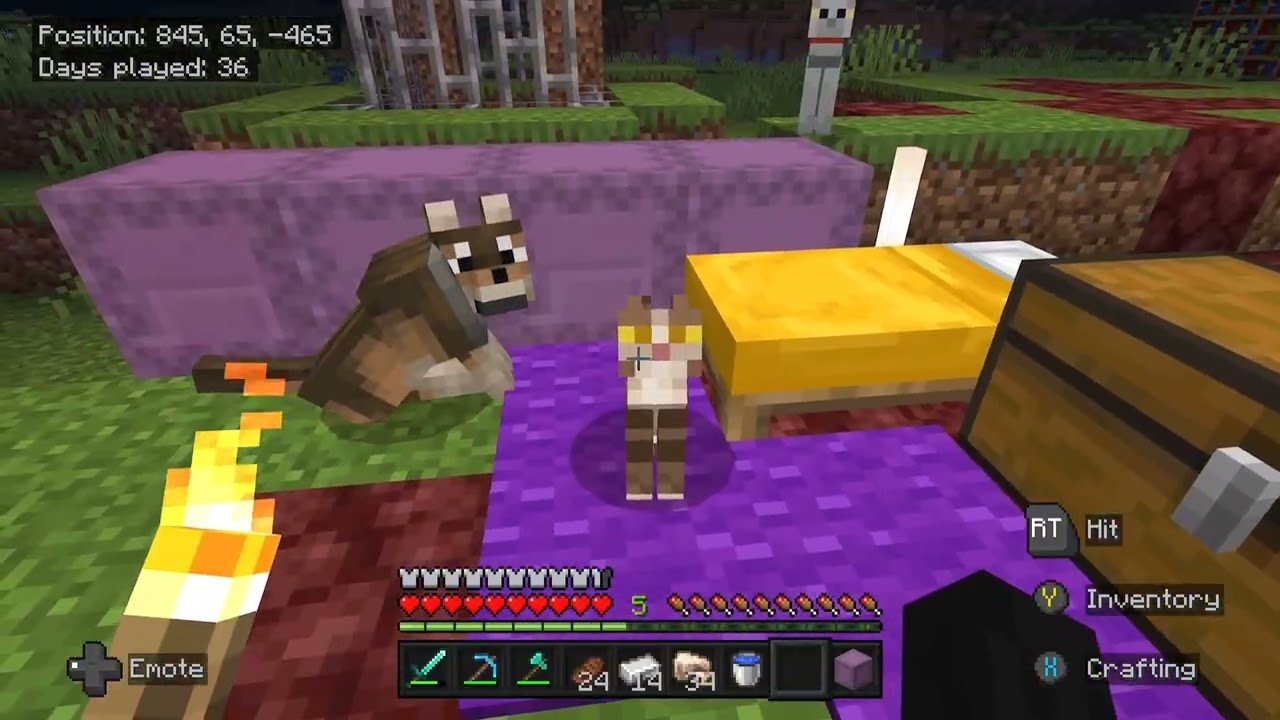 My minecraft world's introduction