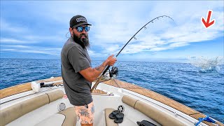 Fishing The BIGGEST Offshore Wreck For Dinner When THIS Happened!
