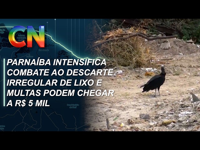 Parnaíba intensifica combate ao descarte irregular de lixo e multas podem chegar a R$ 5 mil
