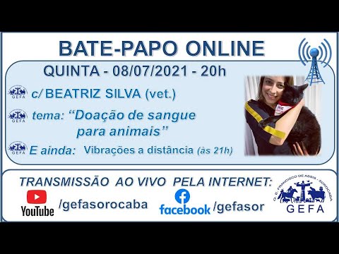 Assista: Palestra Online - c/ BEATRIZ SILVA (08/07/2021)