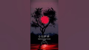 تلاوة خاشعة بصوت جميل لشيخ ماهر المعيقلي #ماهر_المعيقلي #قرآن #quran #اكسبلور