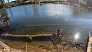 Hawkesbury River Trout Season!!! (Opening Day)