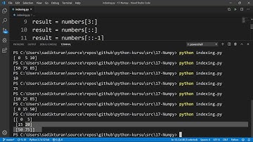 Python - Numpy Dizilerin Indexlenmesi