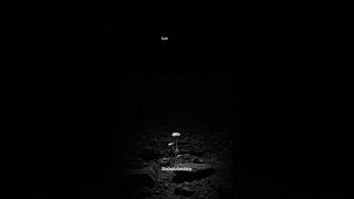 Kalbini yoran ne varsa bırak.Çünkü Allah seni çok seviyor. 🌙 #amin #dua #allah #keşfet #islam