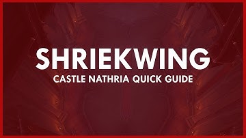QUICK guide to Normal/Heroic SHRIEKWING | Castle Nathria Quick Guides