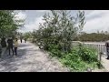 Garden Bridge 360 Experience