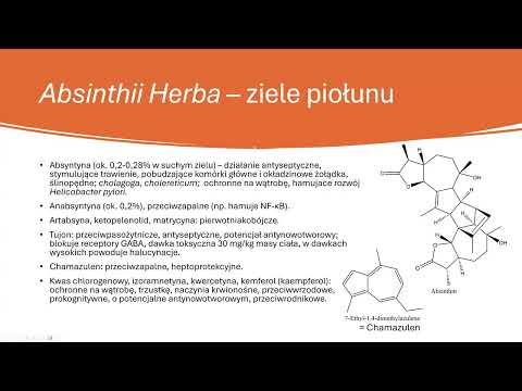 Artemisia absinthium L. - wormwood, pharmacopoeial herbs, part 2; Henryk Różański