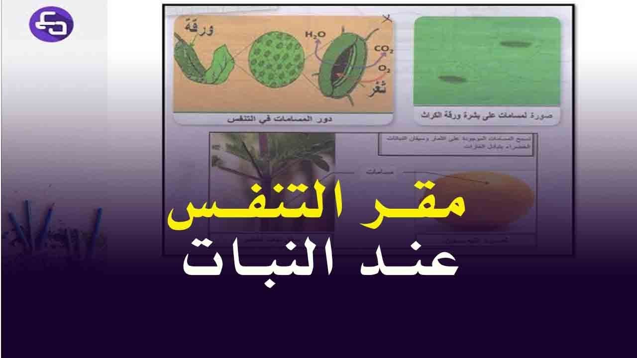 الدرس 21:علوم طبيعية اولى متوسط مقر عملية التنفس عند النبات الاخضر الجيل الثاني