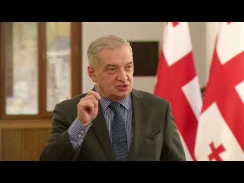 „ქართულ ოცნებაში“  სრული ჰარმონიაა და რაიმე დაპირისპირების საფუძველი არ არსებობს - ვოლსკი