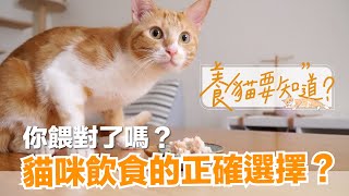 【養貓要知道EP2】貓咪怎麼吃才對乾飼料、貓罐頭、鮮食、生食怎麼選
