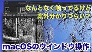 【macOS】Macのウインドウ操作の基本