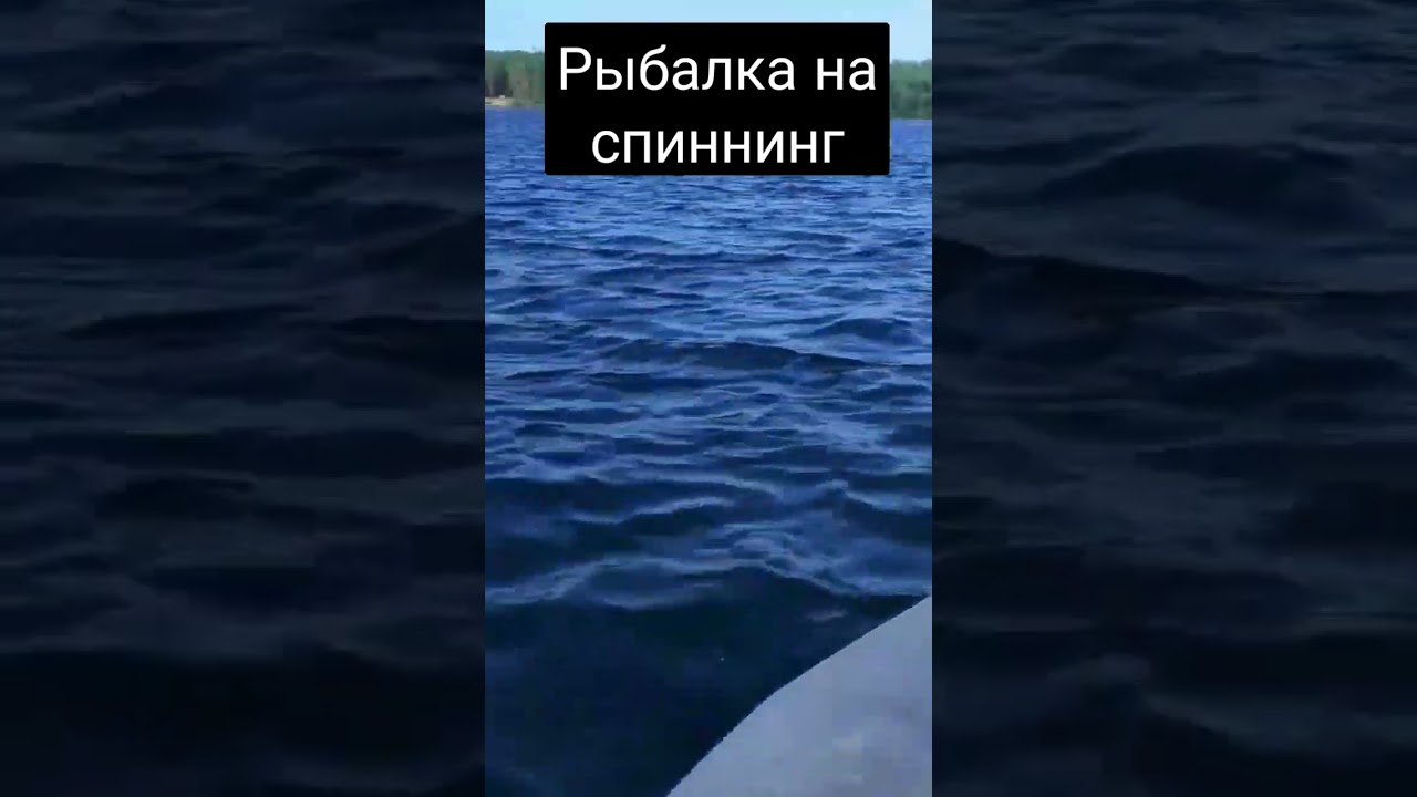 Рыбалка на моторе