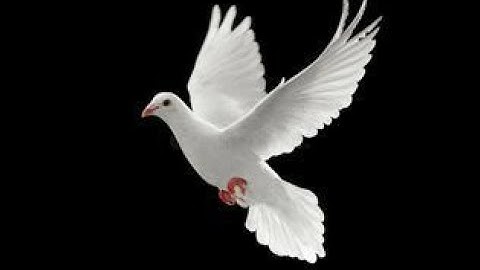 English Endless Run Jungle Escape 2 : 👍 Good stream | Playing Solo | Streaming with Turnip