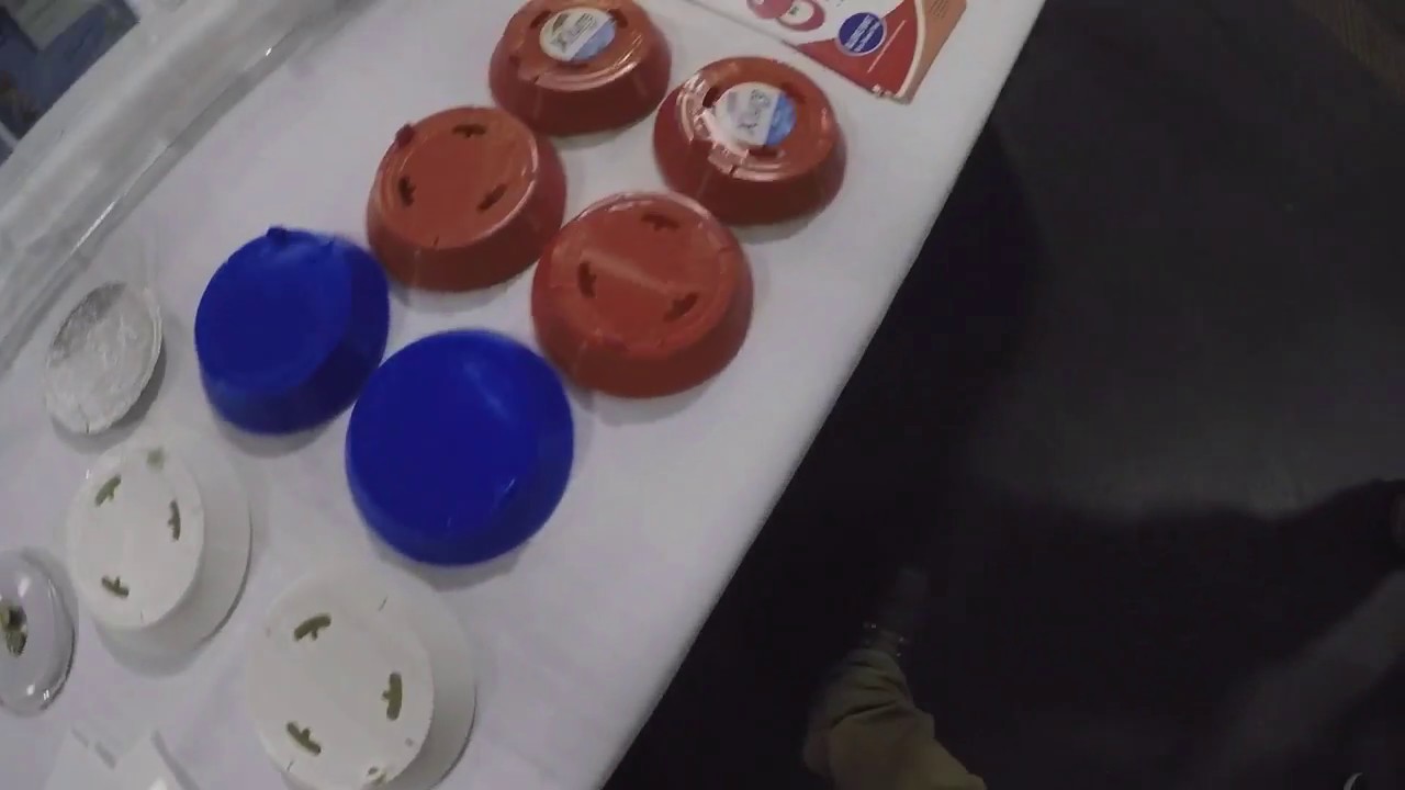 Pest Protect 2018 in Bremen..