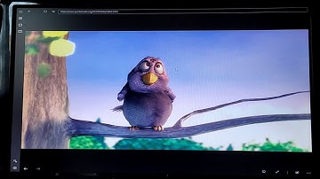 Windows 10 IoT core video playback