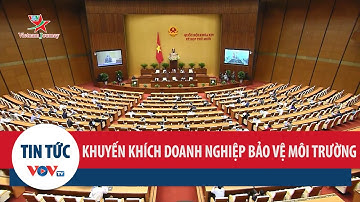 Khuyến khích doanh nghiệp tham gia bảo vệ môi trường