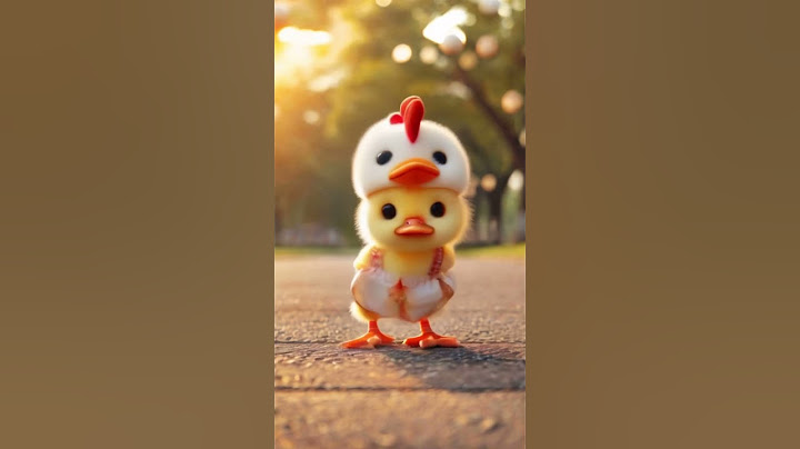 chicken duck #duckdance #petdance #chicken #trending