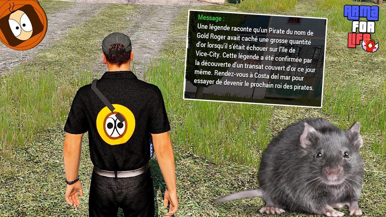 TEMA LA TAILLE DU RAT 🐀 - YouTube