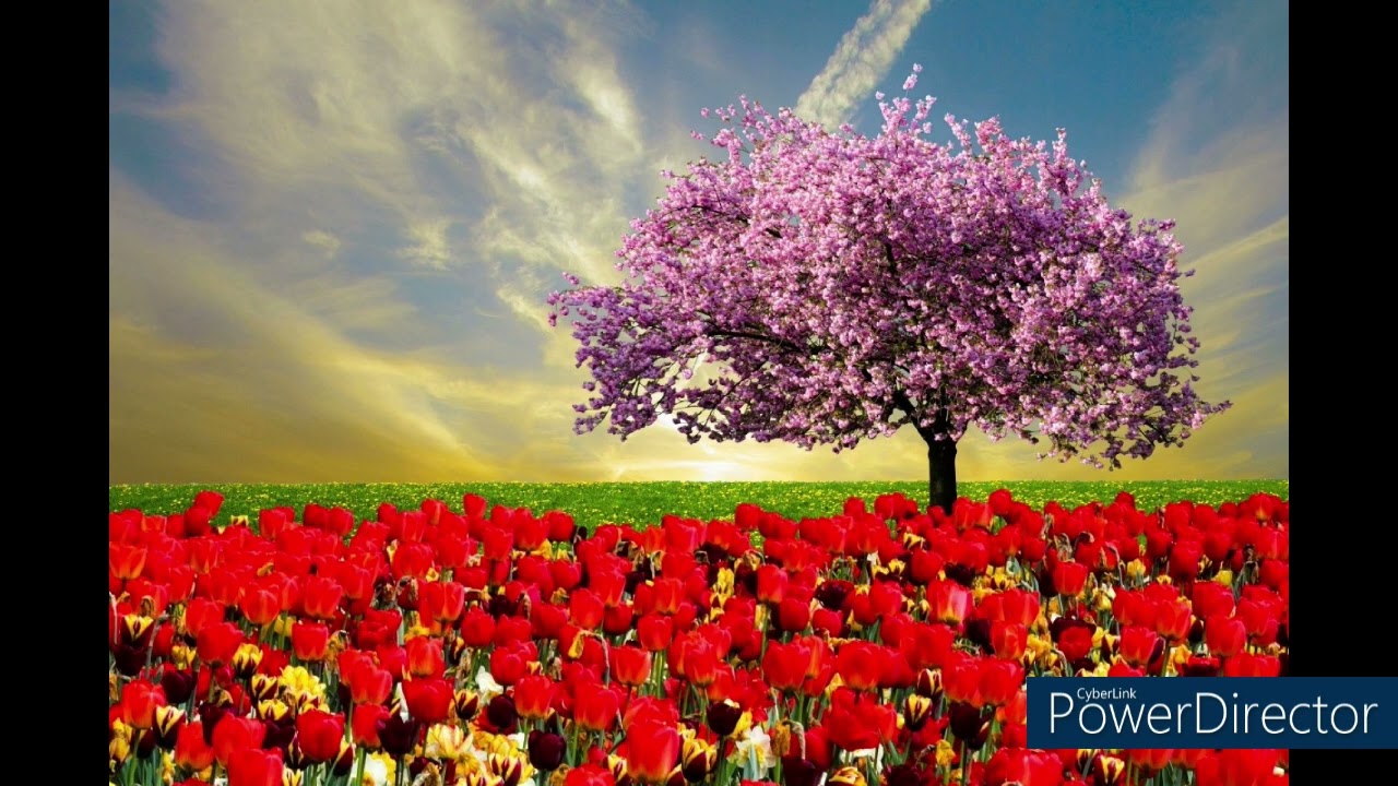 Duch Sv. v nás  13. časť - Ako Pán zachránil môjho manžela