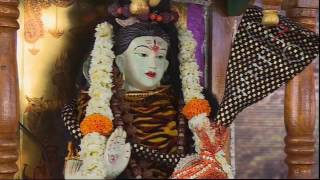 Mahamritunjaya Mantra | HH Sudhanshuji Maharaj | Betul April 2, 2017