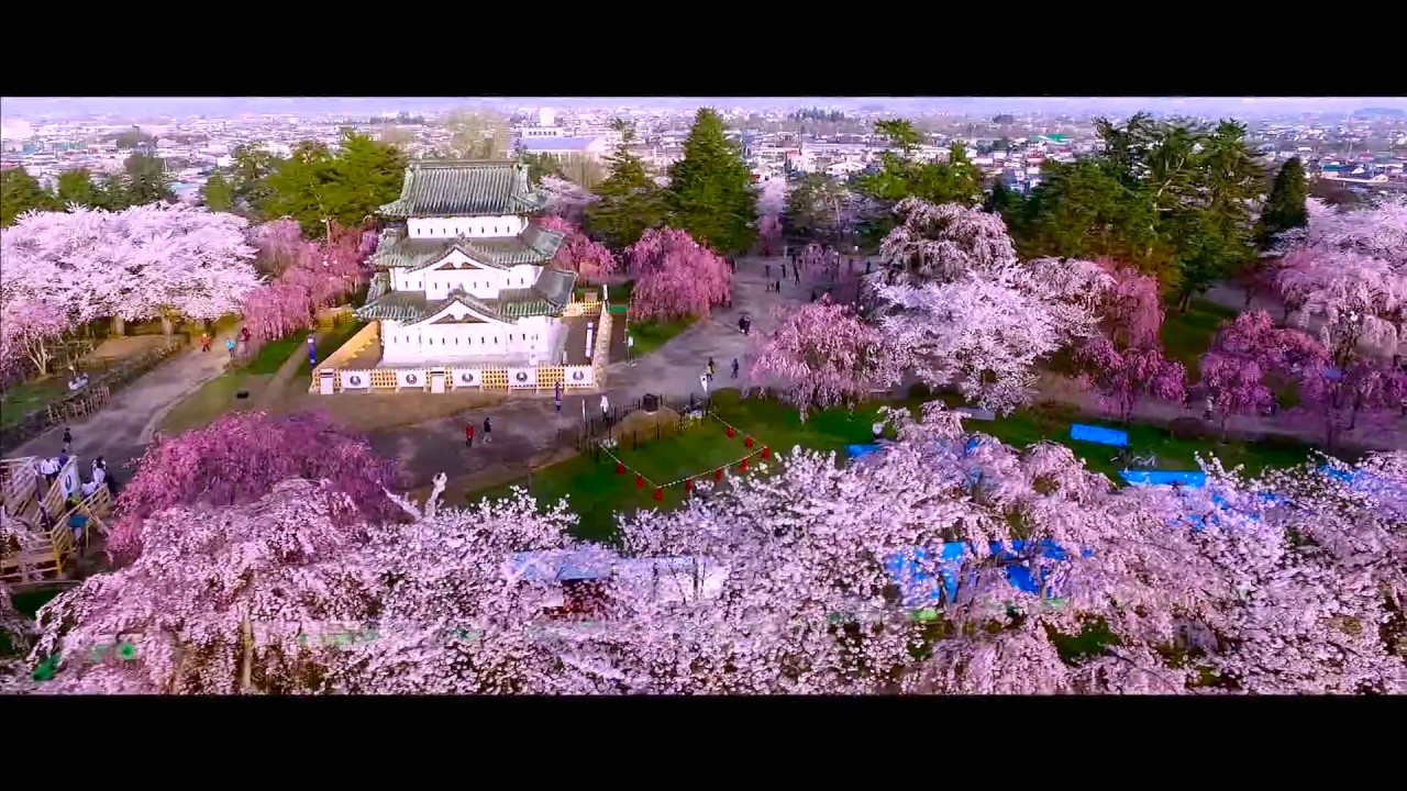 Sakura 日本一の桜まつり青森県弘前市 Hd Youtube