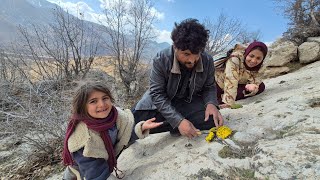 Documentary Of A Nomadic Family Procuring Medicinal Plants From The Zagros Mountains