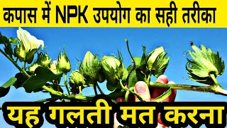 कपास में एनपीके का उपयोग | Kapas ki kheti | NPK | Best plant growth promoter | Tonic | Cotton crop